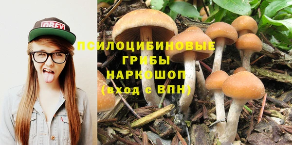 кристаллы Медногорск