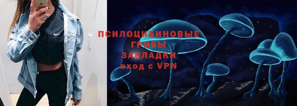 Альфа ПВП Алзамай