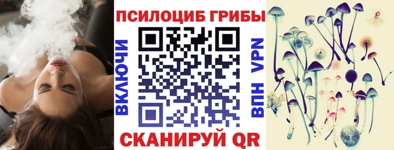 купить  сайты  Волжский  omg сайт  Галлюциногенные грибы Psilocybe 